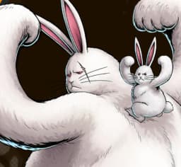 Drum-Island-Lapin