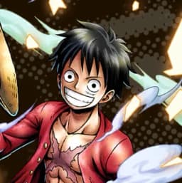 2-Years-Later-Monkey-D-Luffy
