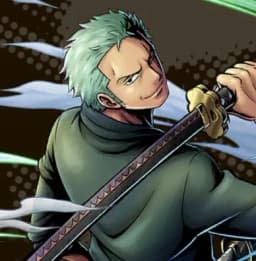 2-Years-Later-Combatant-Roronoa-Zoro