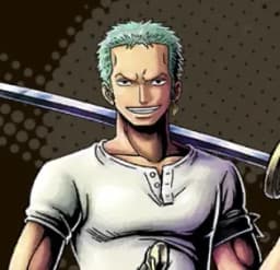 Straw Hat Pirates - Combatant Roronoa Zoro