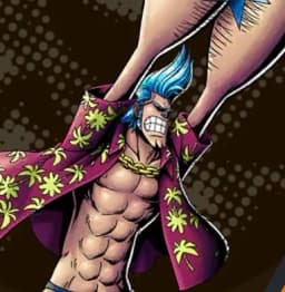 Straw-Hat-Pirates-Ship-Carpenter-Franky